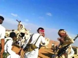 Tribal clashes renewed in Shabwah