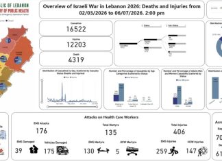 Lebanese Health Ministry: Four Martyrs in Israeli Airstrike on Nabatieh al-Fawqa