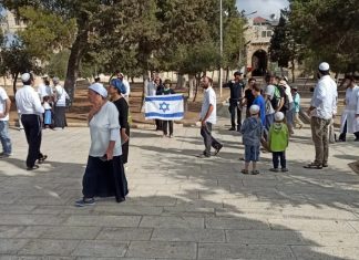 Dozens of settlers desecrate Aqsa Mosque
