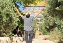 Dozens of settlers desecrate Al-Aqsa Mosque