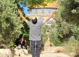 Dozens of settlers desecrate Al-Aqsa Mosque