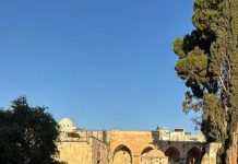 More than 5,400 settlers storm Al-Aqsa in one week amid escalating violations