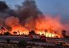 Yemen offers condolences to Algeria over forest fire victims