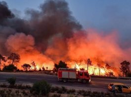 Yemen offers condolences to Algeria over forest fire victims
